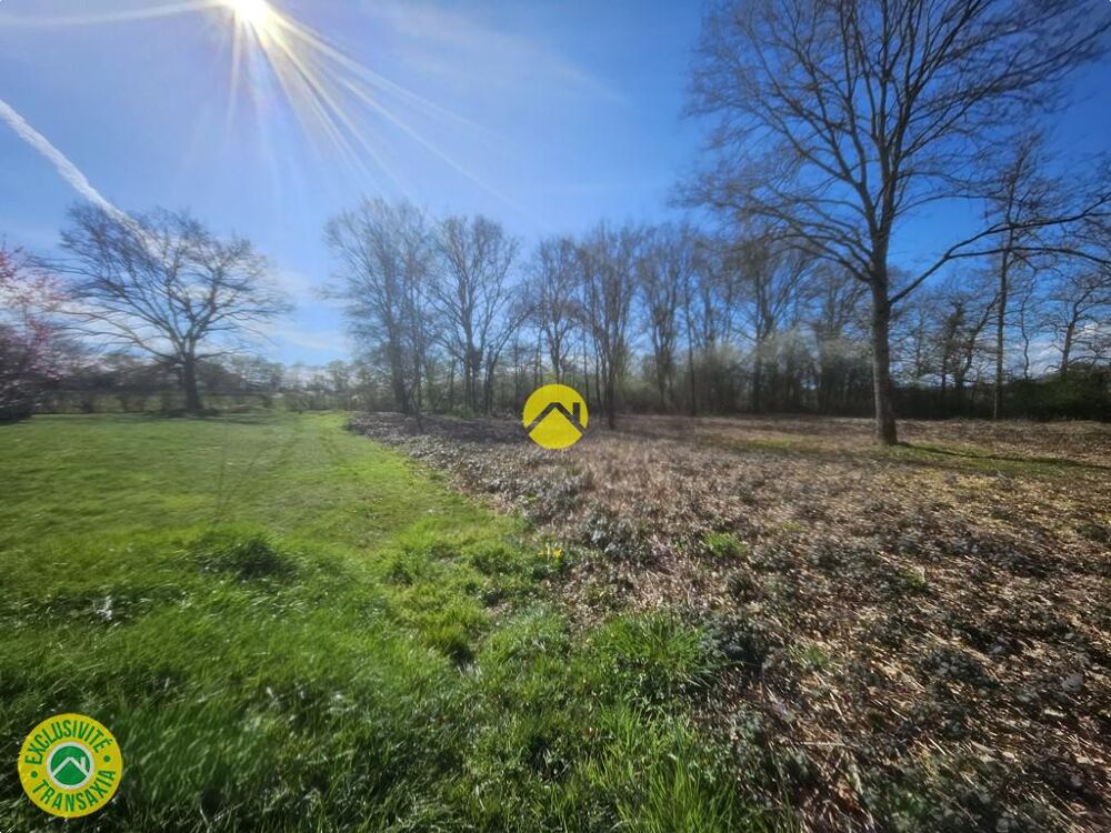 Vente Terrain terrain possibilité de diviser La guerche sur l'aubois