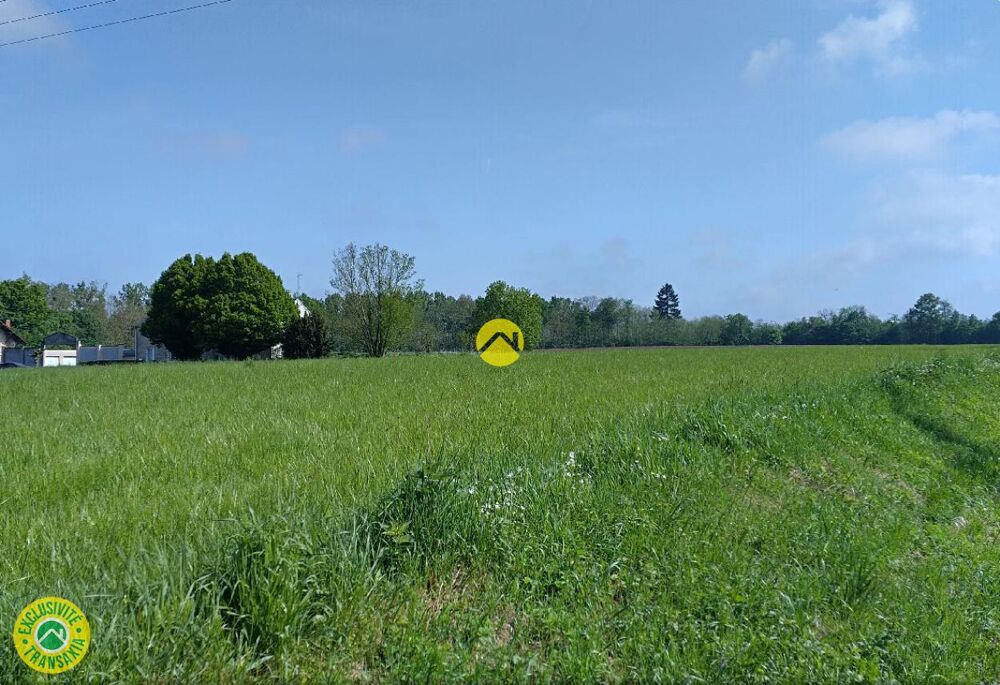 Vente Terrain Proche  Levroux Chateauroux