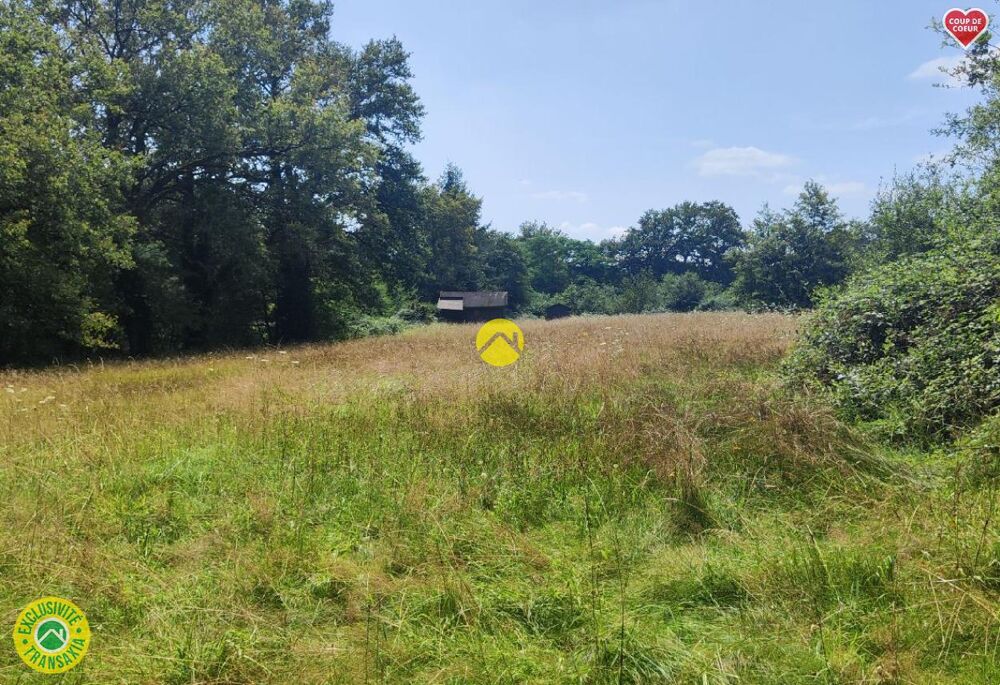 Vente Terrain PROPRIETE CHASSE ET PECHE Mornay-sur-allier