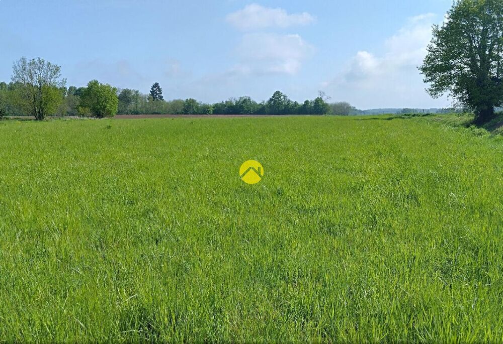 Vente Terrain Proche  Levroux Chateauroux