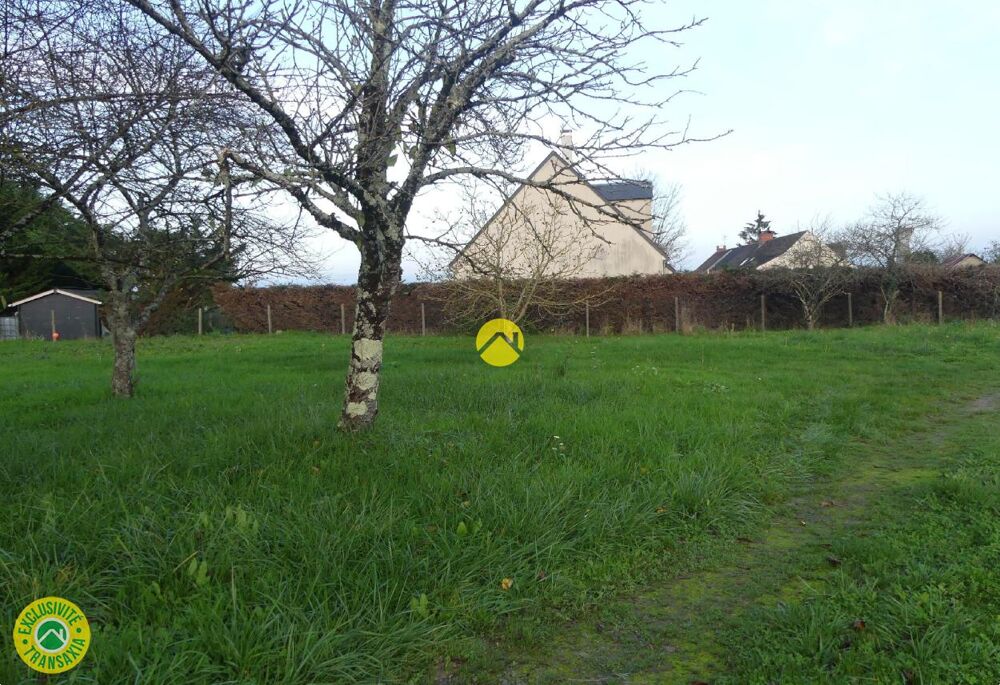 Vente Terrain TERRAIN avec grande façade Langeais