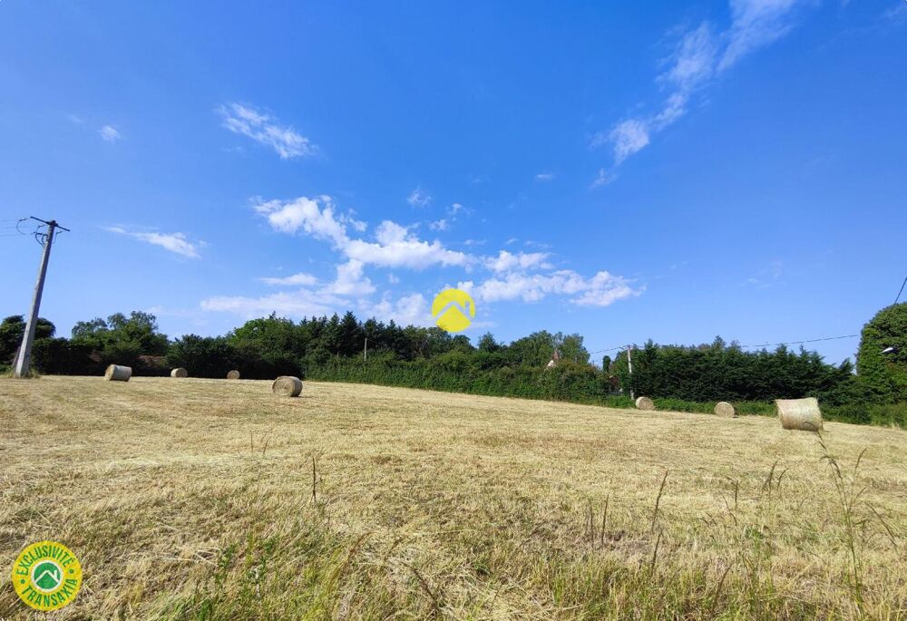Vente Terrain TERRAIN PLAT 1800m² Torteron