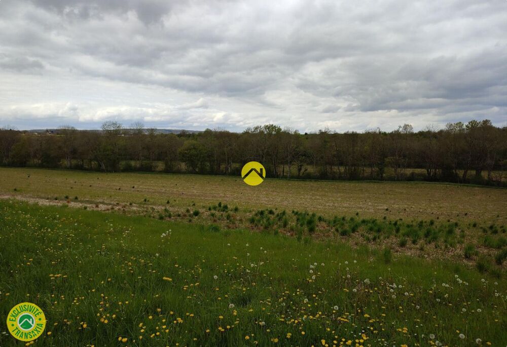 Vente Terrain 10 MNS NORD DE BOURGES Saint-georges sur moulon