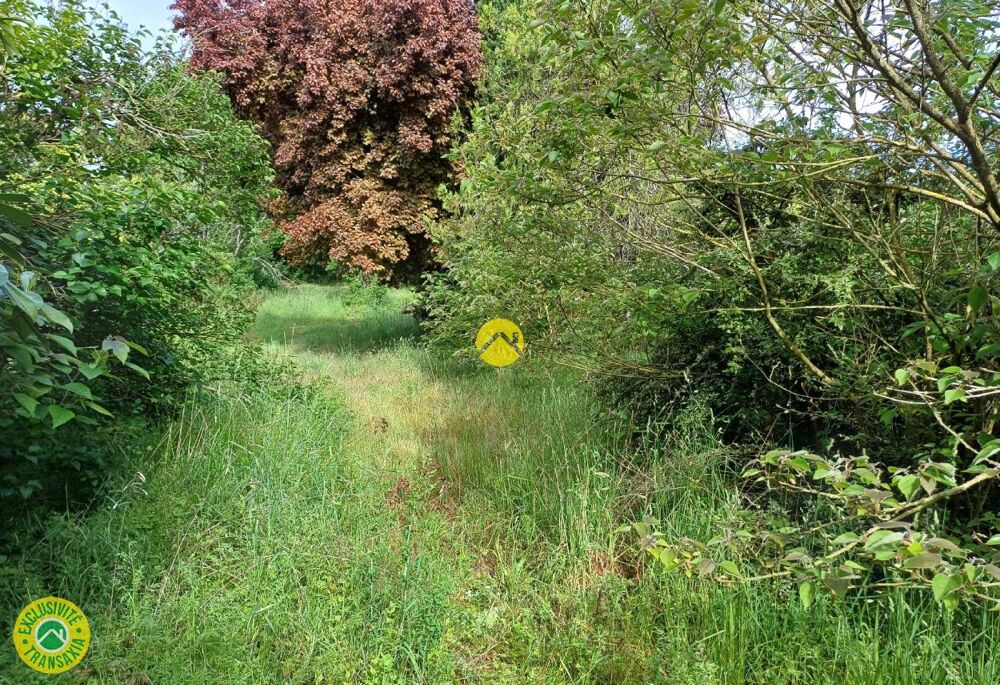 Vente Maison MAISON 85 M2 avec TERRAIN 2035 M2 Charost