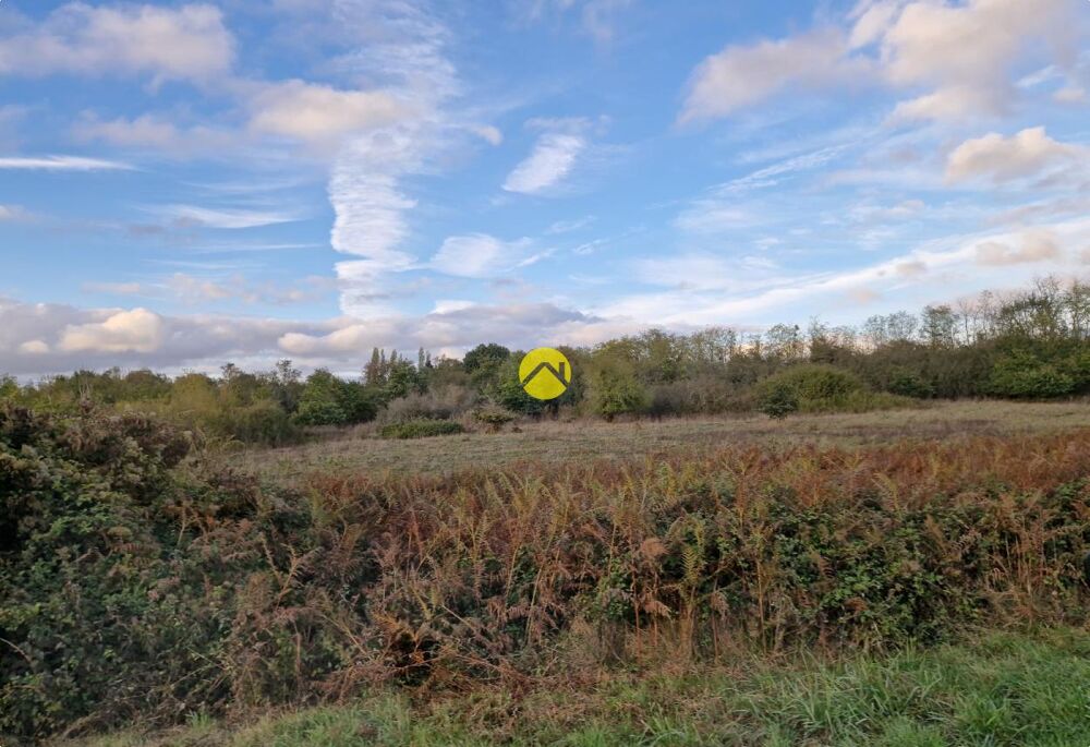 Vente Terrain TERRAIN AGRICOLE DE 30510 M² La guerche-sur-l'aubois