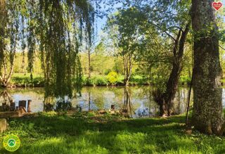 Vente Maison PROPRIETE D'EXCEPTION CENTRE VILLE Jouet-sur-l'aubois