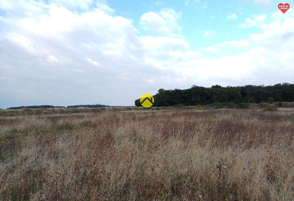 Vente Terrain TERRAIN CONSTRUCTIBLE Saint florent sur cher