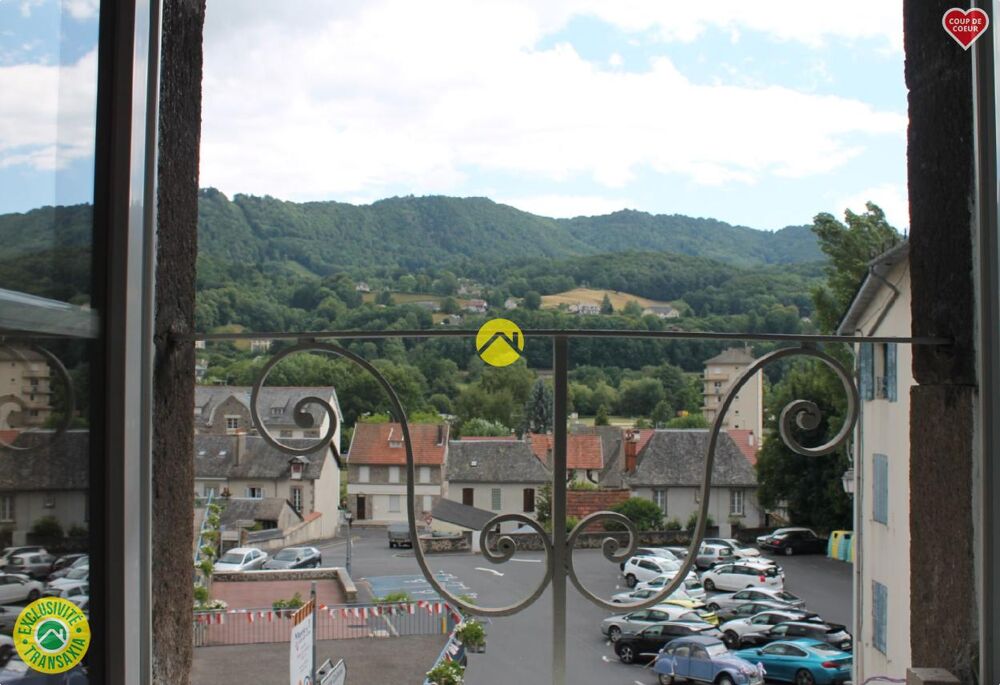 Vente Appartement Appartement + local commercial Vic sur cére