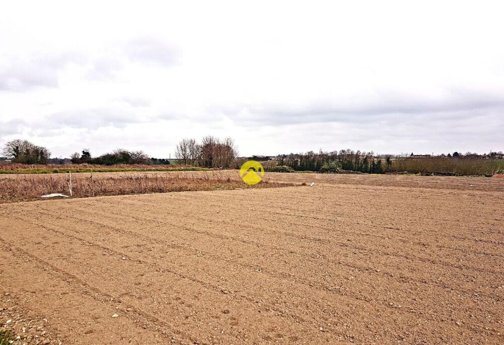 Vente Terrain TERRAIN A BATIR-MOUTERRE SILLY Loudun
