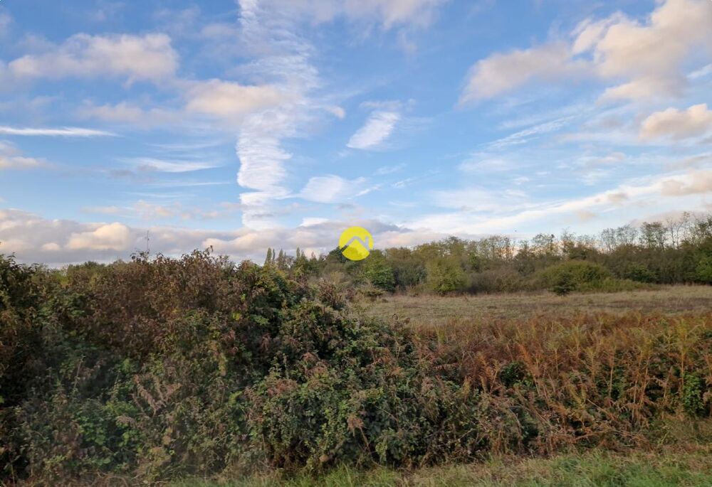 Vente Terrain TERRAIN AGRICOLE DE 30510 M² La guerche-sur-l'aubois