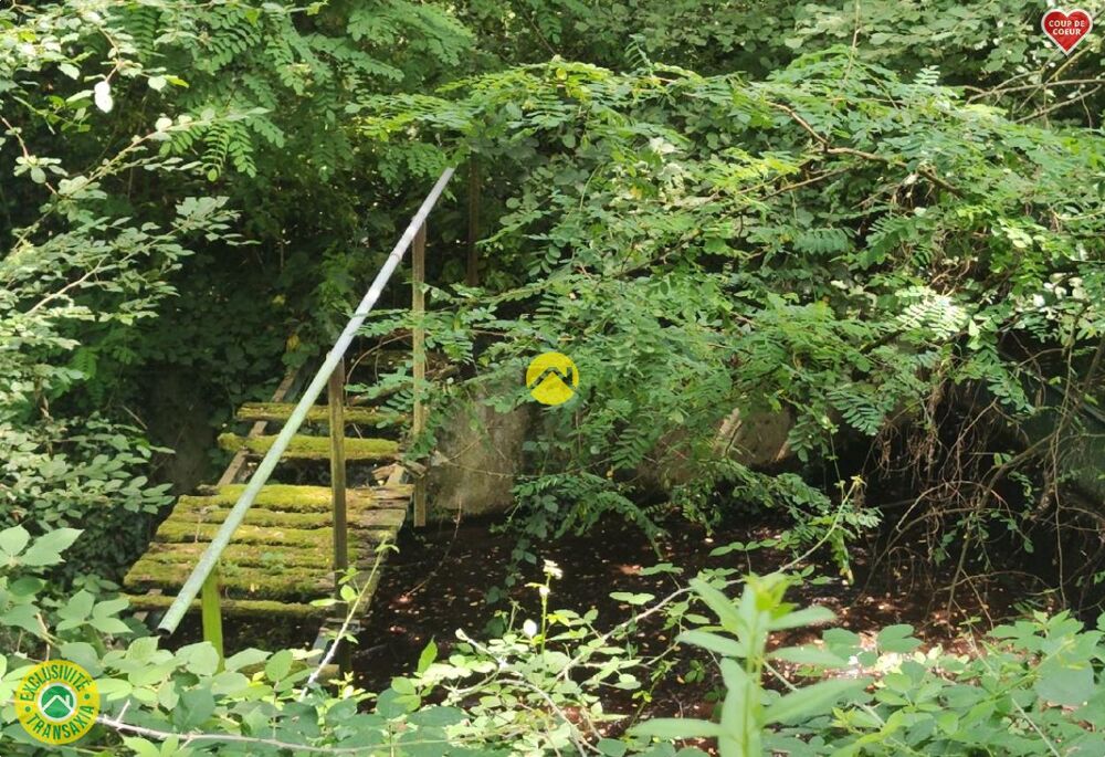 Vente Terrain PROPRIETE CHASSE ET PECHE Mornay-sur-allier