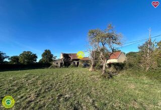 Vente Maison Maison + dépendance sur 1 ha Lurcy-lévis