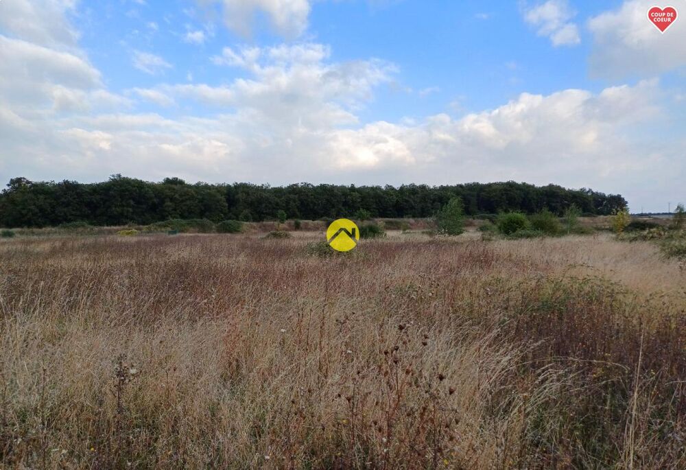 Vente Terrain TERRAIN CONSTRUCTIBLE Charost