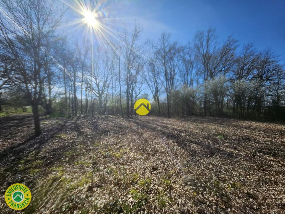 Vente Terrain terrain possibilité de diviser La guerche sur l'aubois