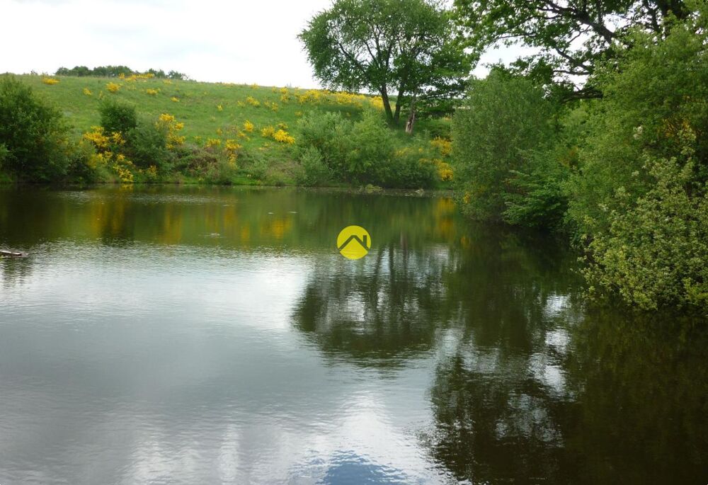 Vente Terrain Terrain 11 ha avec étang Néris les bains