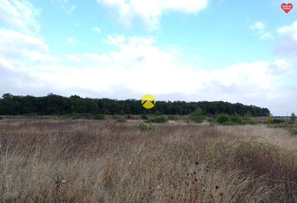 Vente Terrain TERRAIN CONSTRUCTIBLE Charost