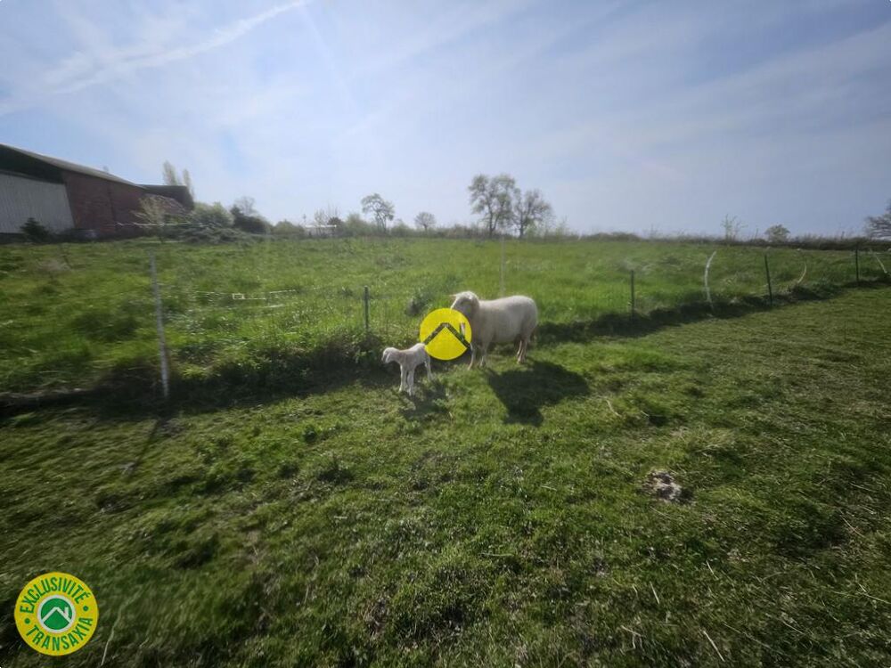 Vente Terrain bergerie au calme Nérondes