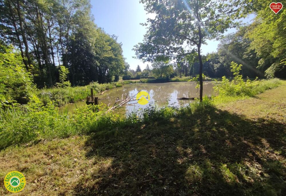 Vente Terrain Étangs à l'abris des regards ! Aubigny sur nere
