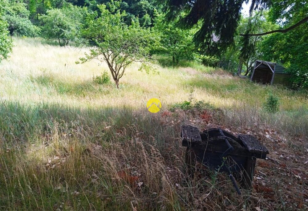 Vente Terrain terrain constructible Bonny sur loire