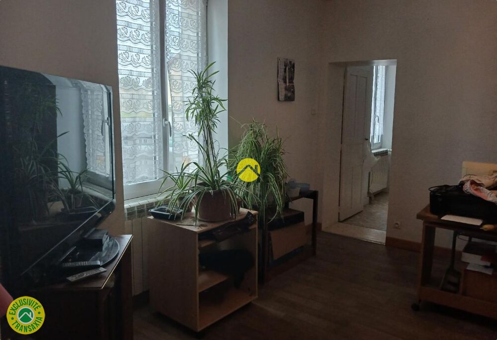 Vente Maison VIAGER LIBRE idéal investisseur Lurcy levis