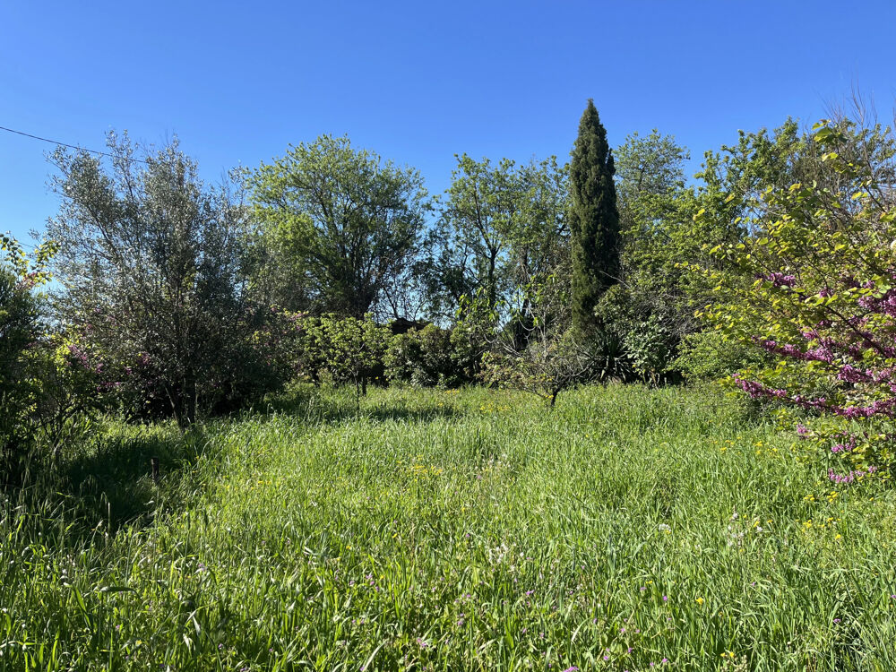 Vente Terrain Terrain à bâtir arboré de 257 m2 - Trausse Trausse