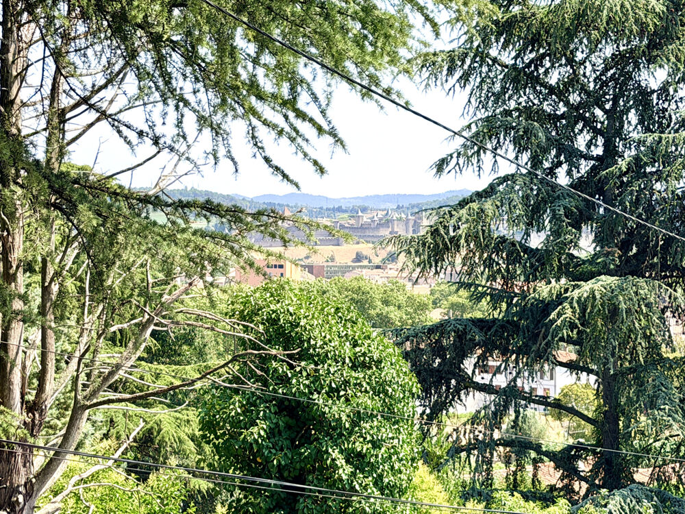 Charmante maison familiale avec vue exceptionnelle sur la Cité de Carcassonne