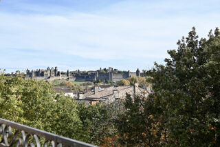  Duplex/triplex � vendre 7 pi�ces 241 m�