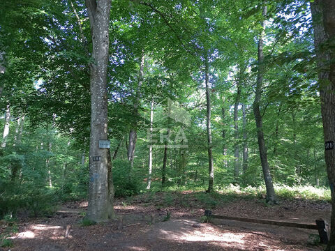  Appartement � louer 1 pi�ce 22 m�