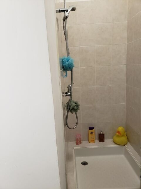  Appartement � louer 1 pi�ce 26 m�