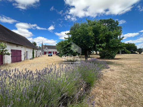  Maison � louer 10 pi�ces 225 m�