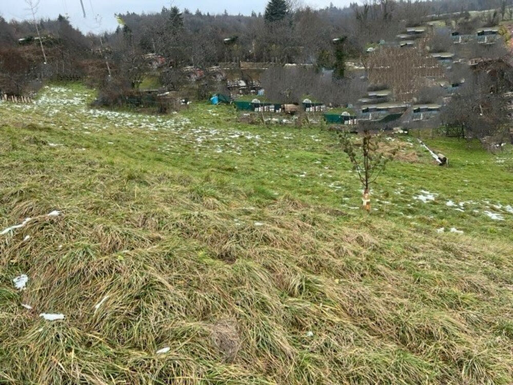 Vente Terrain Terrain à viabiliser libre constructeur POISY Poisy