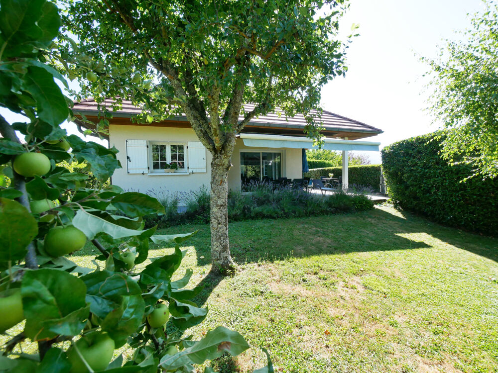 Vente Maison Belle villa contemporaine à Héry-sur-Alby Hery sur alby
