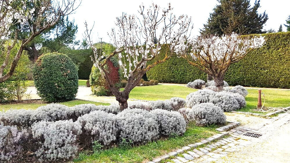 à vendre  Maison Cheval-Blanc (84460)