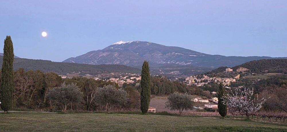 Vaison la Romaine - Propriété habitation et gîte - 8 pièces - 250m2 - 6985m2