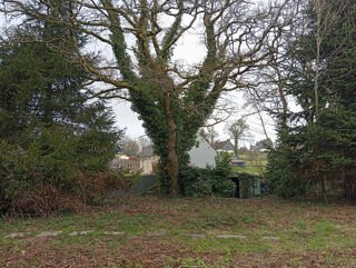  Terrain � vendre 2281 m�