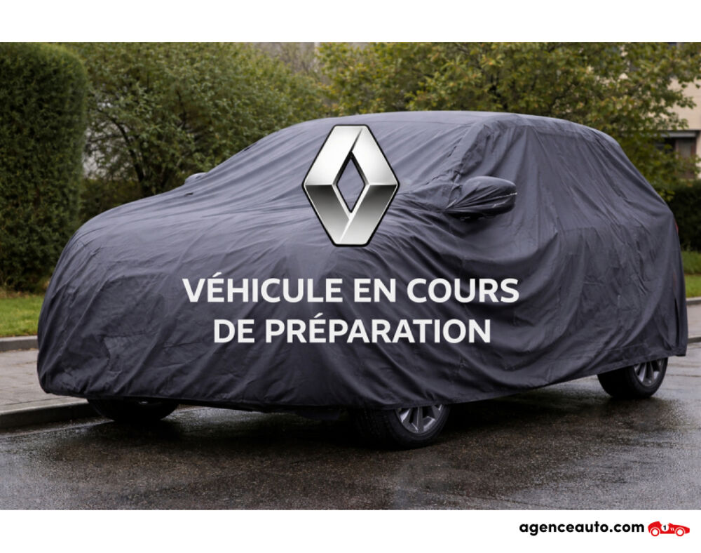 Kadjar RENAULT KADJAR 1.5 DCI 110 ENERGY INTENS 2016 occasion 37170 Chambray-l&egrave;s-Tours
