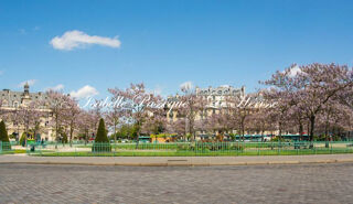  Appartement � vendre 1 pi�ce 30 m�