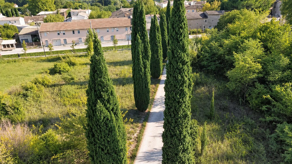 à vendre  Propriété/château Courthézon (84350)