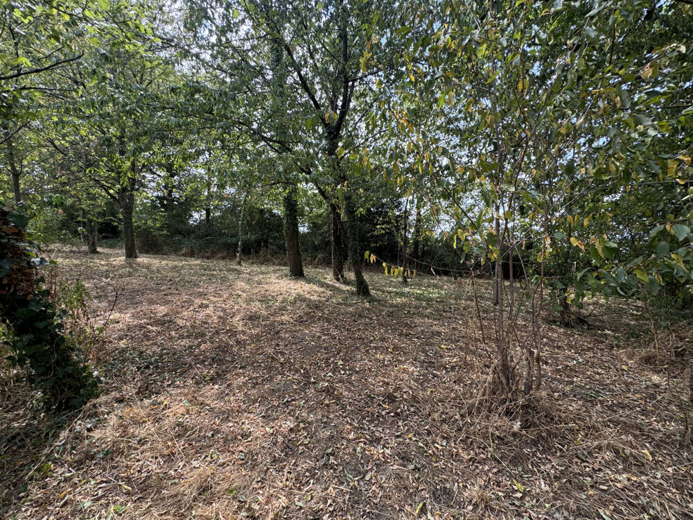 Vente Maison Maison 4 chambres   140 m2   5 000 m2 de terrain   Guichen Guichen
