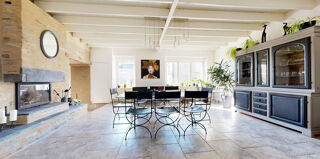  Propri�t�/ch�teau � vendre 11 pi�ces 310 m�