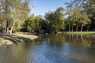  Propri�t�/ch�teau � vendre 15 + pi�ces 1500 m�