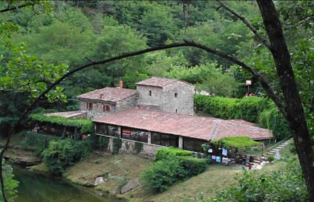 à vendre  Propriété/château Ribes (07260)
