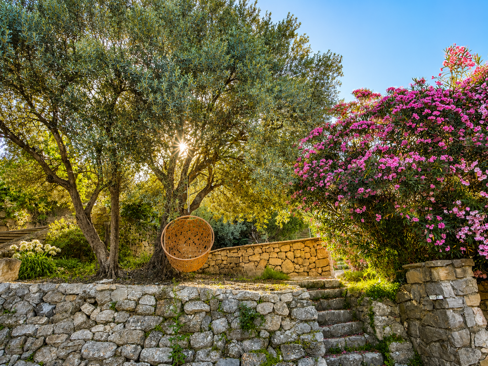 à vendre  Propriété/château La Garde-Adhémar (26700)