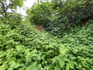  Terrain  vendre 606 m
