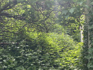  Terrain  vendre 606 m