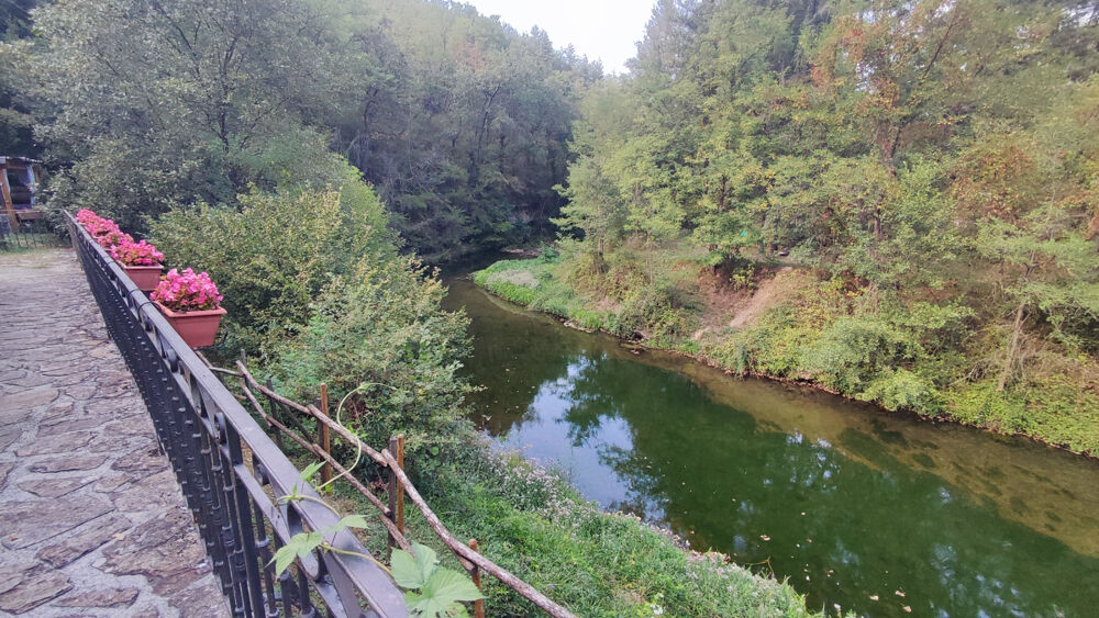 à vendre  Propriété/château Ribes (07260)