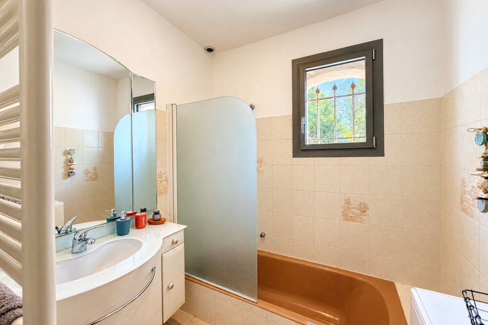 à vendre  Propriété/château Carros (06510)