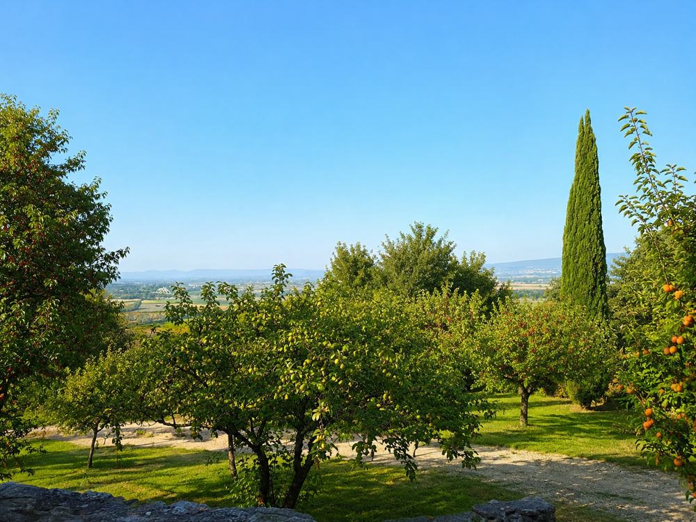 à vendre  Propriété/château La Garde-Adhémar (26700)