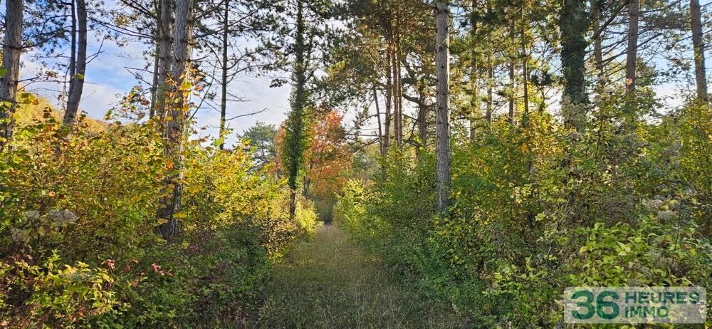 vente Propriété/château Beine-Nauroy (51490)