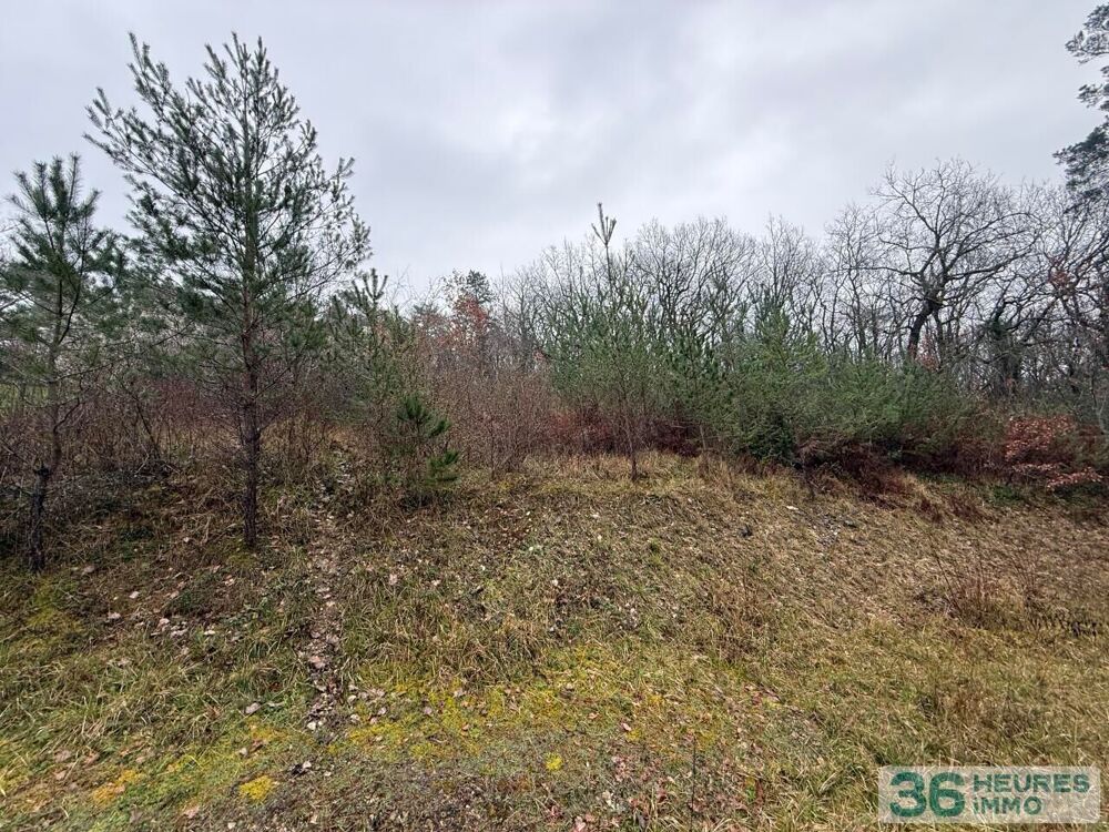 vente Terrain Boulazac Isle Manoire (24750)